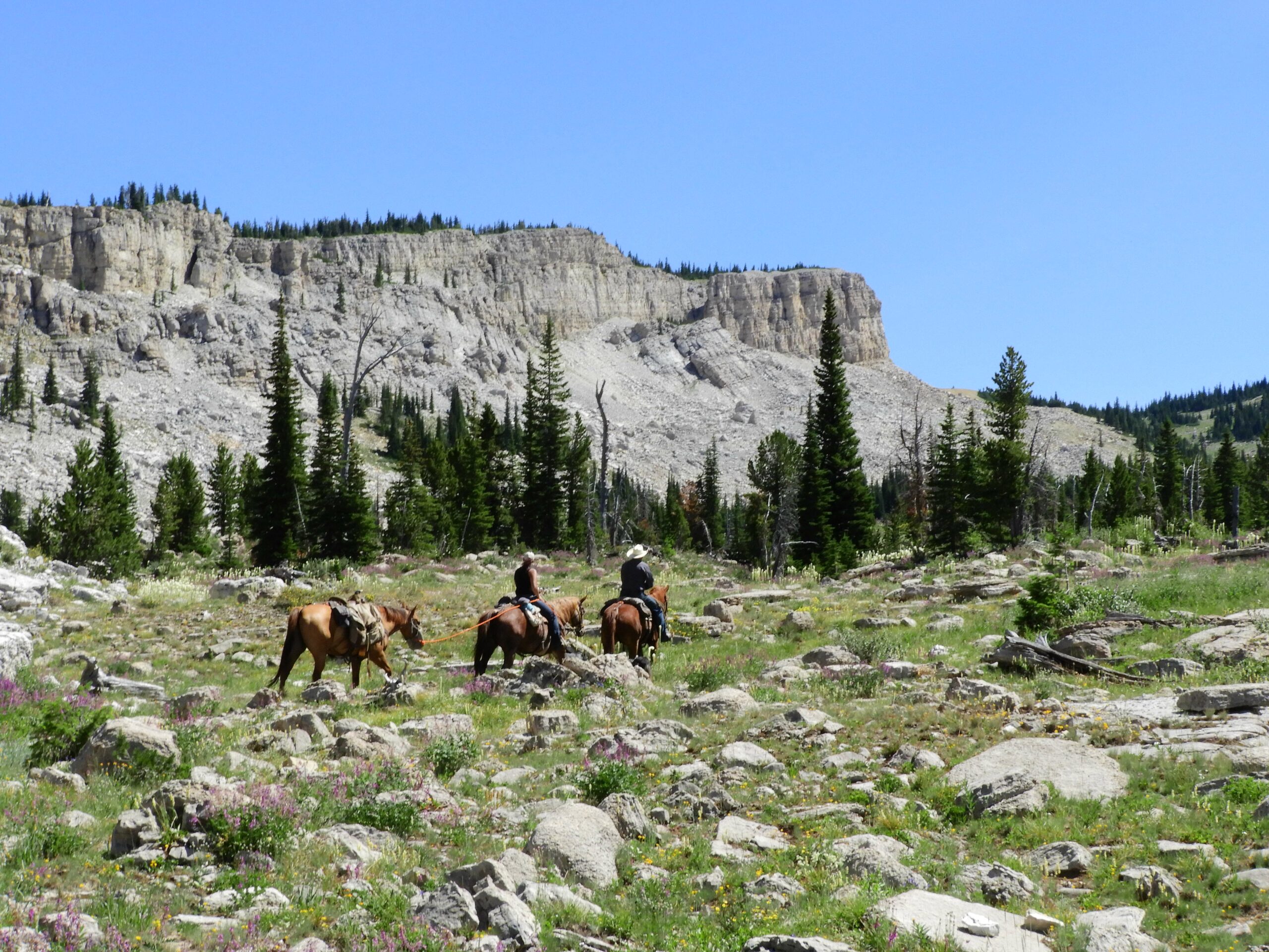 Bob Marshall Wilderness 304 - Mills Wilderness Adventures of MT